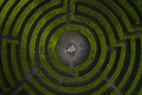 Drone shot of a woman standing in the center of a lush green hedge maze.